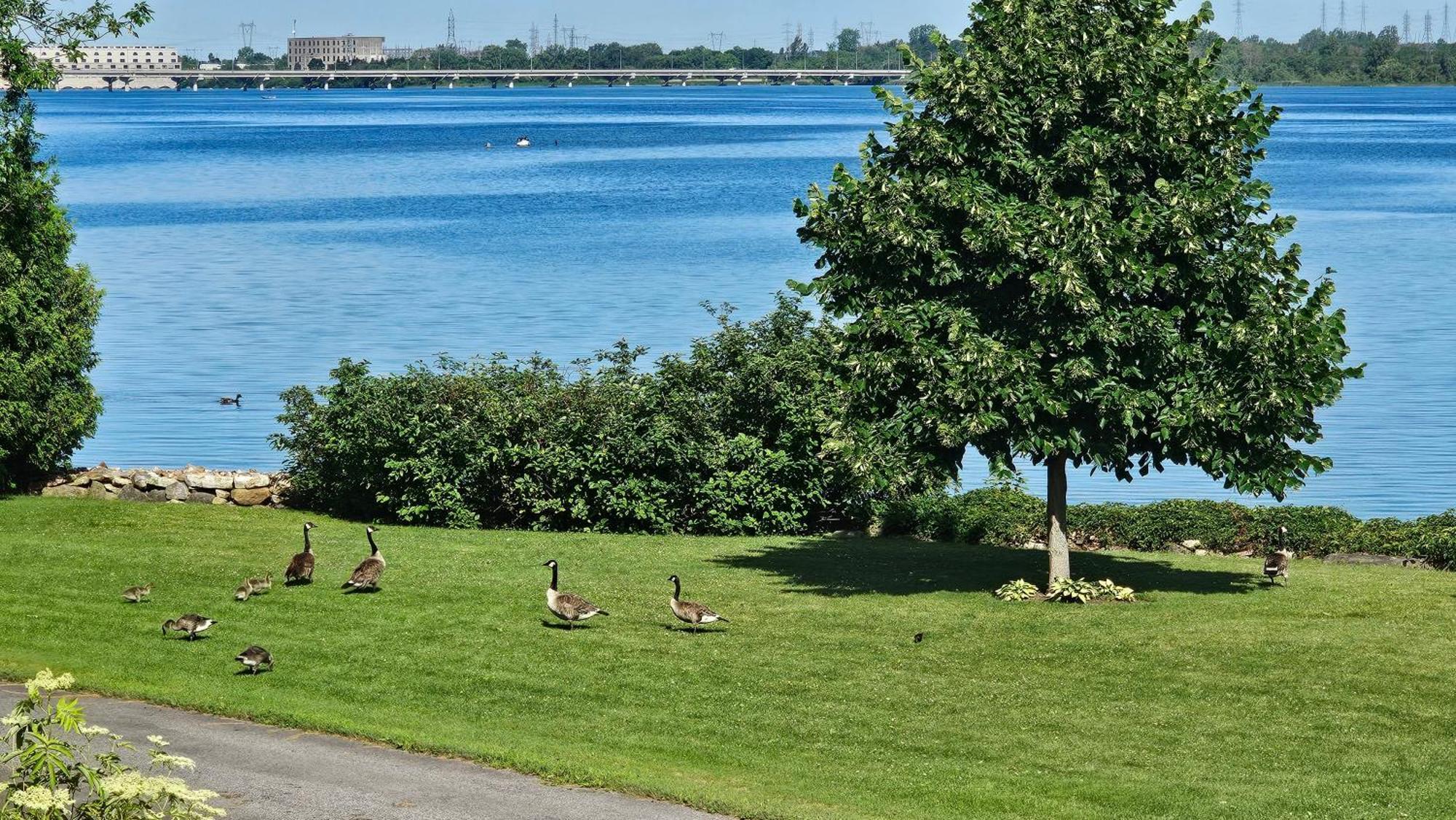 Hotel Oasis Lac St-Louis Salaberry-de-Valleyfield Kültér fotó